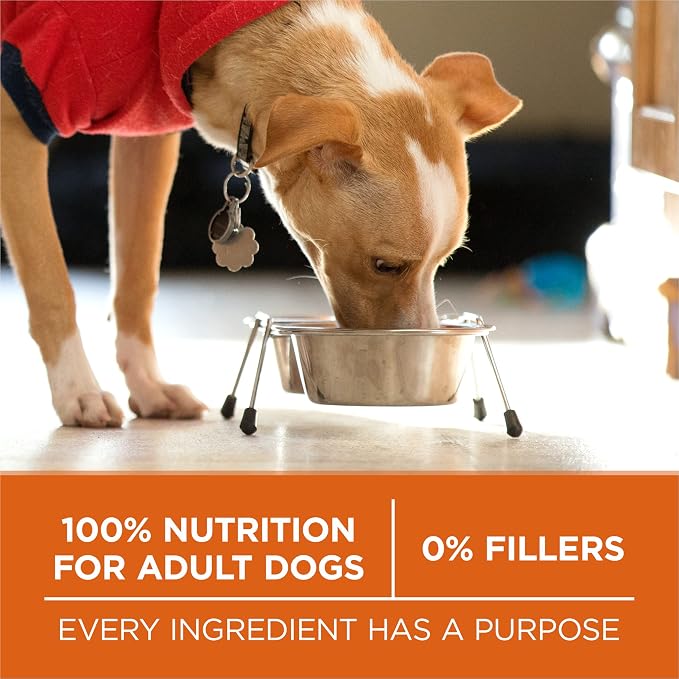 Purina ONE Plus Healthy Weight Dry Dog Food, Real Turkey, 8 lb Bag | High protein dog food for weight control with turkey as the first ingredient, helps promote healthy weight and lean muscle