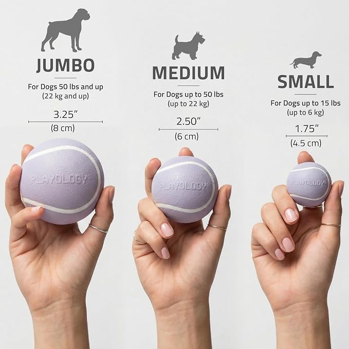 Playology Squeaky Chew Ball Dog Toy - Small, Lamb Scent, 3-Pack