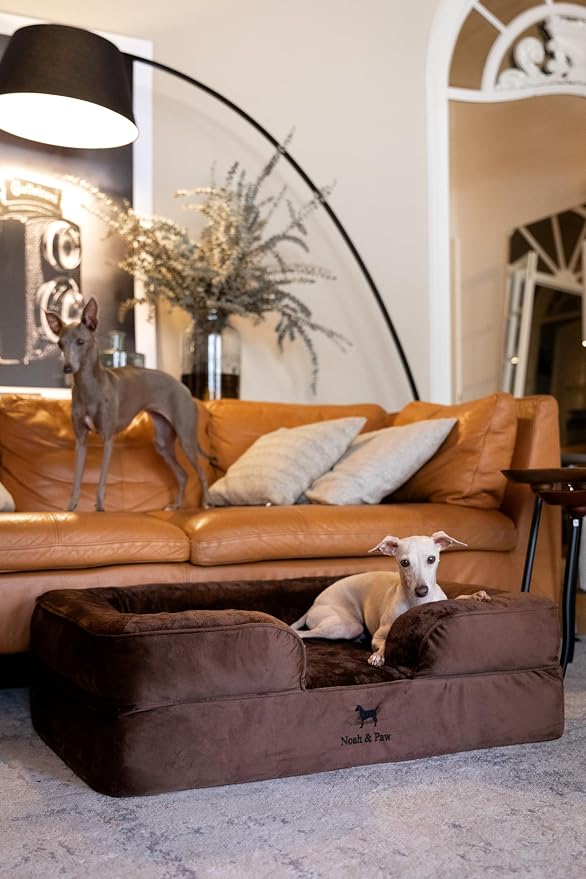 NOAH & PAW Large Dog Bed, 35x25x11 Inch, Orthopedic Dog Beds, Eggshell Memory Foam Infused with Cooling Gel, Inner Cover, Water Resistant, Machine Washable (Velvet Sofa Collection)