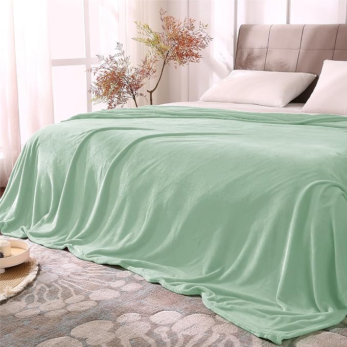 BEDELITE Fleece Blanket Soft Plush King Bed Blanket Mint Green 108"x90" | Ultra Soft Fleece, Plush Microfiber, Lightweight Warmth, All Season Comfort, Fade Resistant, Machine Washable