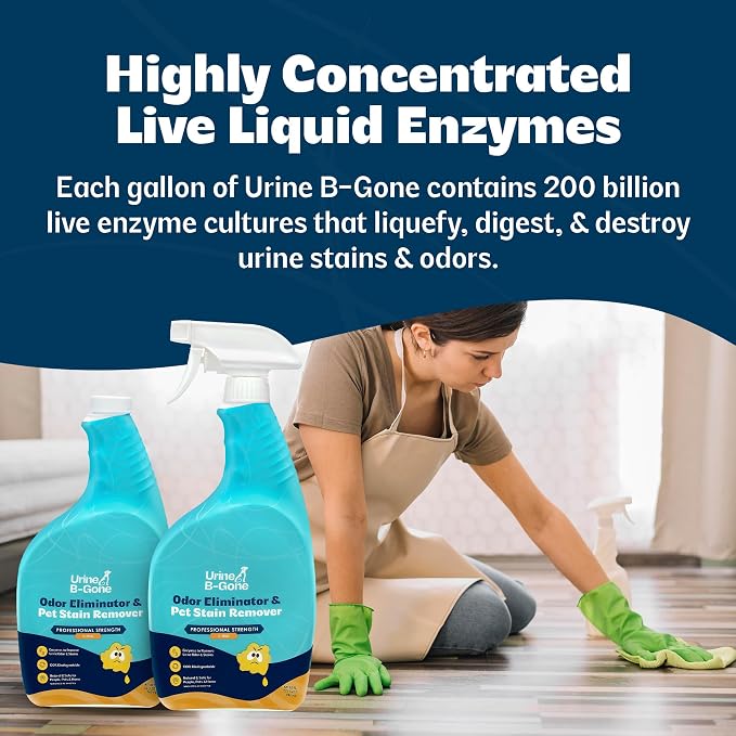 Urine B-Gone Enzyme Cleaner for Human & Pet Urine, Citrus, 32 oz, 2-Pack | Two 32 oz bottles of enzyme cleaner for human, cat and dog urine on laundry, carpets and more; citrus scent.