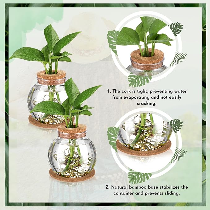 6 Packs Propagation Vases for Plants Plastic Plant Propagation Station with Hole Lid and Cork Coasters Plant Growing in Water Hydroponic Home Office Table Decoration(Fish Bowl Style)