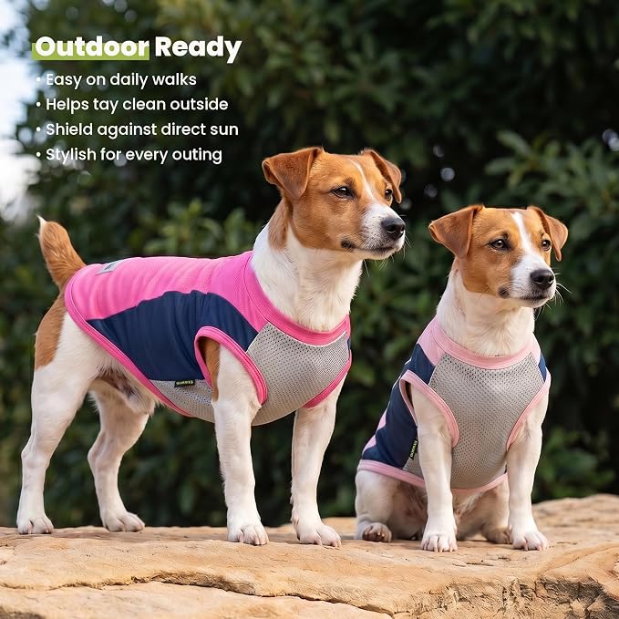 Fitwarm 2 Pack UPF 50+ UV Sun Protection Dog Shirt, Lightweight Breathable Cooling Vest, Quick Dry Dog Summer Clothes for Small Dogs Boy Girl, Reflective Label Pet Cat Outfit, Pink, Medium