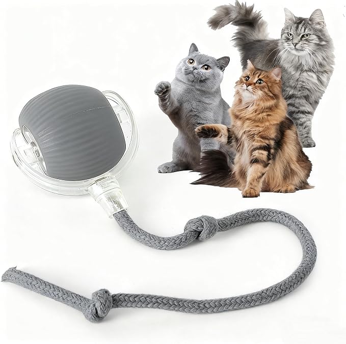 Rocfish Durable Interactive Cat Toys for Indoor Cats (Grey, 01)