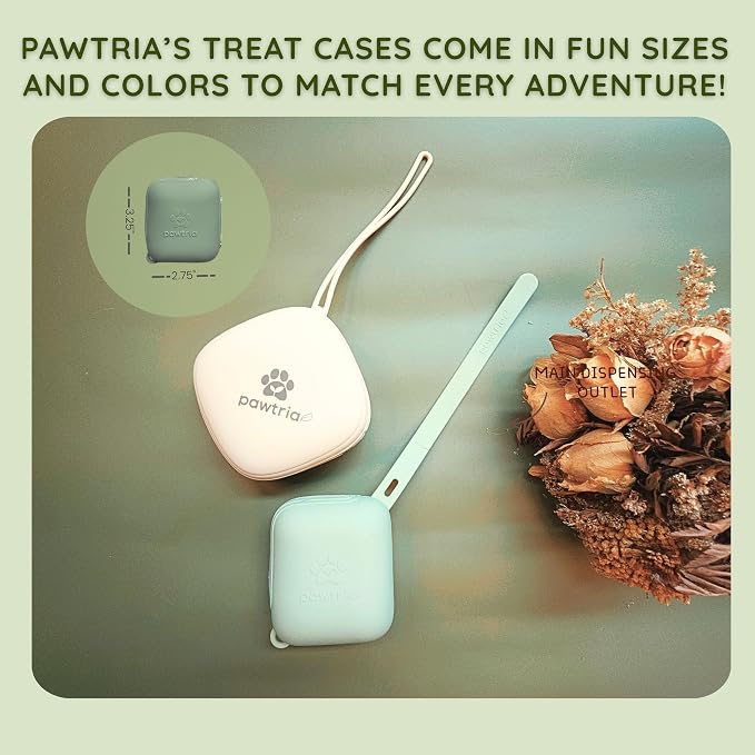 Pawtria BPA-Free, Food Grade Silicone Treat Pouch Case, Light Green