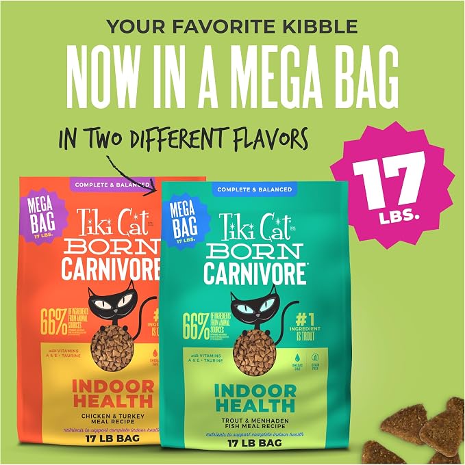 Tiki Cat Born Carnivore Dry Cat Food, Trout & Menhaden Fish Meal | Supports Healthy Weight and Immune System, Crunchy Kibble Texture, 66 Percent Animal Ingredients, Grain Free Recipe