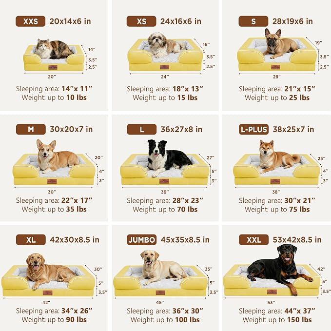 Comfort Expression Waterproof Orthopedic Dog Beds for Extra Large Dog | Supportive Egg Crate Foam XL Dog Bed with Removable Bolster, Dog Couch with Washable Cover & Non-Slip Bottom, 45x35 Inch