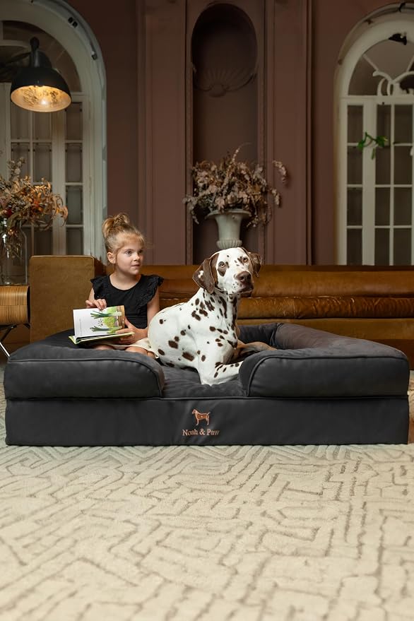 NOAH & PAW XL Dog Bed, 45x35x11 Inch, Orthopedic Large Dog Beds, Eggshell Memory Foam Infused with Cooling Gel, Inner Cover, Water Resistant, Machine Washable (Faux Leather)