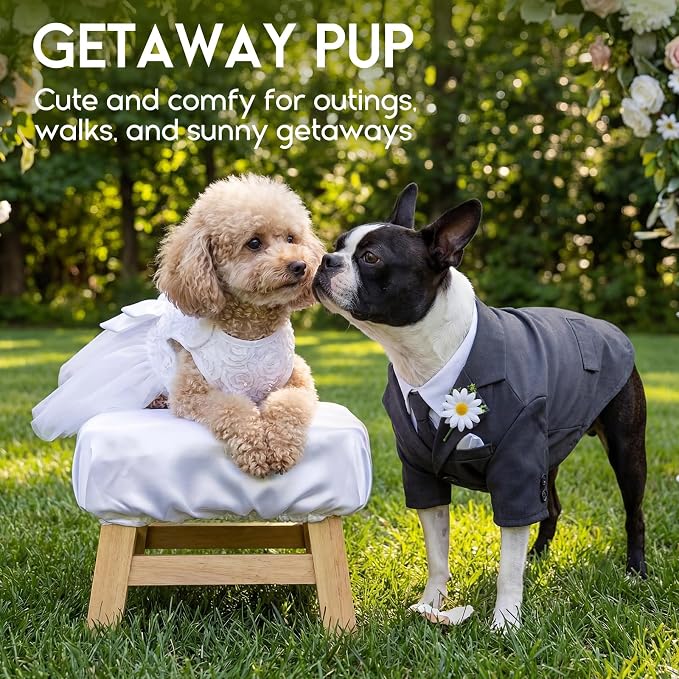 ASENKU Dog Dress Pet Wedding Dress Puppy Birthday Party Outfit, White M | Dog Flower Girl Dress With Leash Hole, Princess Puppy Dress For Weddings, Daily Wear, Fits Small Medium Large Dogs Cats