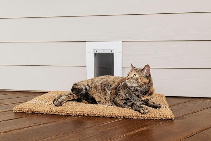 PetSafe Wall Entry Pet Door, Telescoping, Dogs up to 15 lb, Small | Insulates Better Than Metal, Interior & Exterior Install, Weatherproof Double-Flap, DIY Telescoping Tunnel 4.75-7.25 in Walls