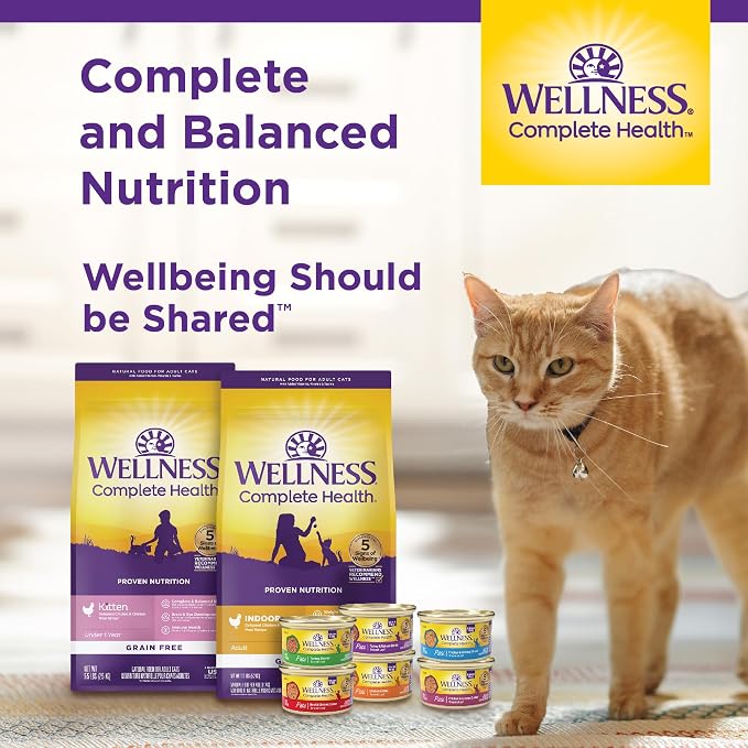 Wellness Complete Health Adult Dry Cat Food for Indoor Cats, Natural, Grain Free Kibble, Healthy Weight Chicken & Turkey Meal, 11.5 lb Bag