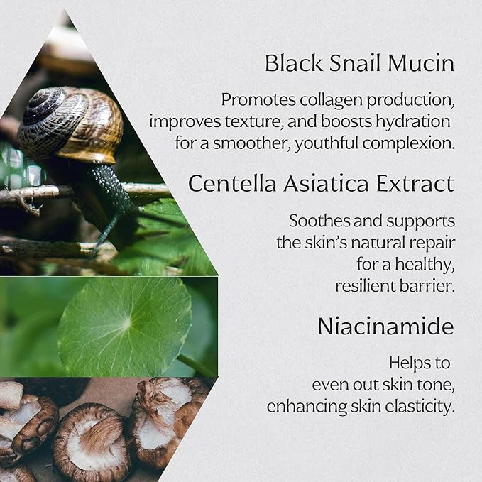 MIZON Black Snail All In One Cream Intensive Korean Skin Care Facial Moisturizing Snail Mucin Extract (2.54 fl oz)