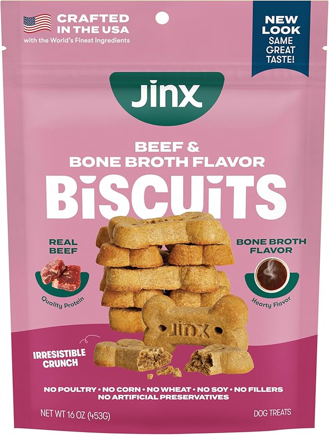 Jinx Oven-Baked Beef Bone Broth Biscuit Treats, Crunchy, All Natural, Superfood-Rich with Real Beef, Pumpkin & Blueberries, 16oz | 1-Pack Crunchy & Healthy Dog Treat, Superfood-Rich with Real Grass Fed Beef, Dog Cookies for Puppies, Adults & Senior Dogs