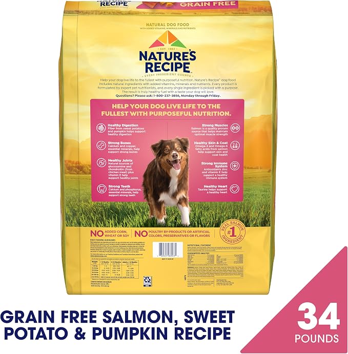 Nature's Recipe Grain Free Salmon Dry Dog Food, 34 lb. Bag | Fiber From Sweet Potatoes & Pumpkin Helps Support Digestion and Immune System Health