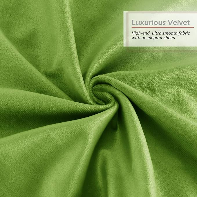 Throw Pillow Inserts Pack of 2 with Velvet Soft Solid Decorative Square Throw Pillow Covers Set for Sofa Couch Car Bedroom, 18X18 Throw Pillows Inserts with 16x16 Washable Cushion Covers, Garden Green