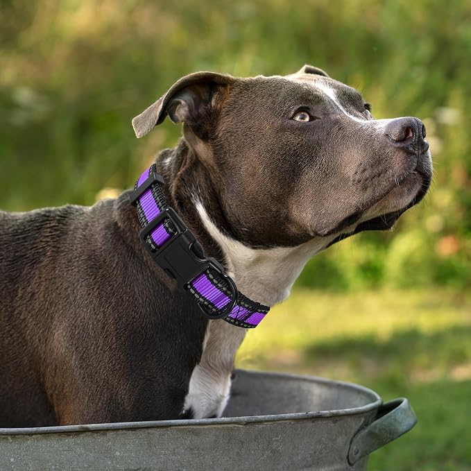 Mile High Life Reflective Dog Collar, Adjustable Lightweight Quick Release