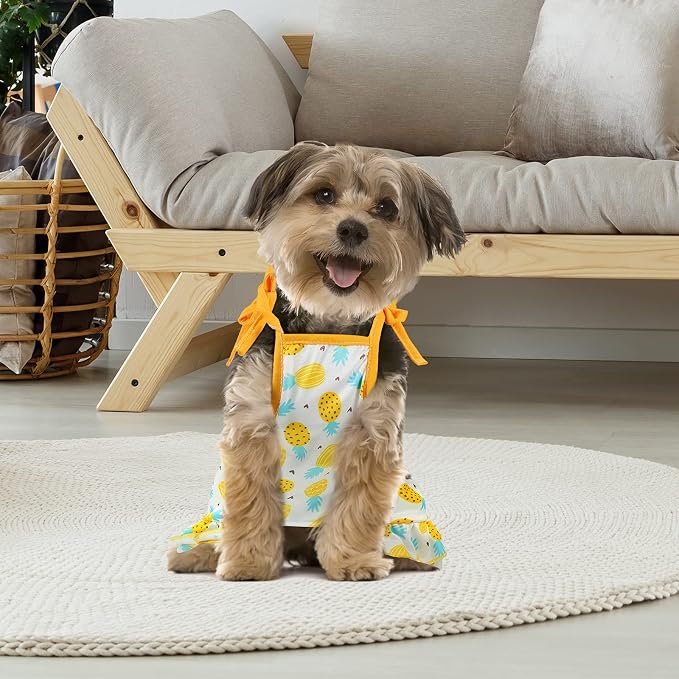Frienda 4 Pieces Dog Clothes Set Include 2 Pcs Cute Pet Dress Lovely Dog Dress and 2 Pcs Breathable Pet T Shirt Puppy Clothes(Pineapple, Sunflower,Small)