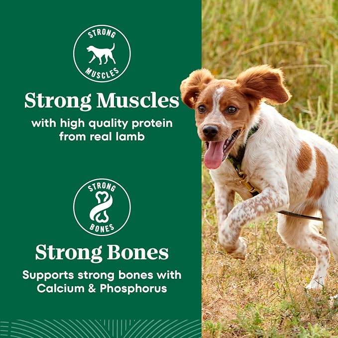 Nutro Natural Choice Small Bites Dry Dog Food, Salmon & Rice, 28 lb | Non-GMO, Real salmon #1 ingredient, Omega-3 & Omega-6 for skin & coat, no corn, wheat, soy, supports digestion & immunity