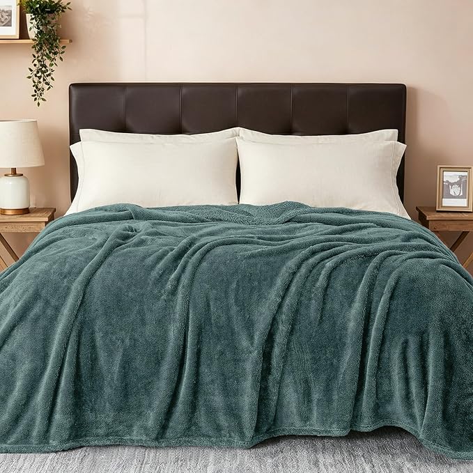 Exclusivo Mezcla Fuzzy Plush Fleece Bed Blanket Queen Size, Celadon | 90x90 Inches, Super Soft and Cozy Bed Blanket, Fluffy Decorative Bedding for Livingroom, Bedroom, All Season