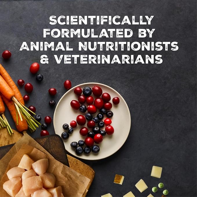 Blue Buffalo Wilderness Chicken Adult 7+ Wet Cat Food Paté, 5.5 oz, 24 ct | Real Chicken #1 Ingredient, High Protein & Grain-Free Recipe, Supports an Active Lifestyle