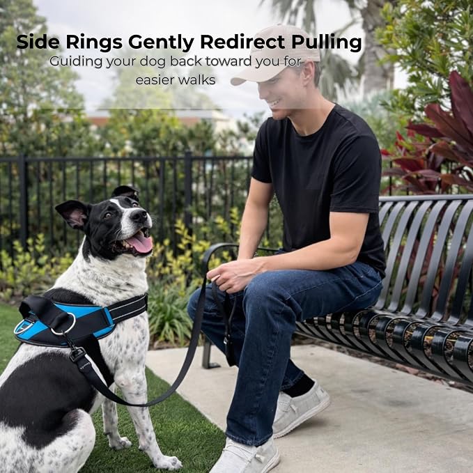 ShawnCo Essential Dog Harness, No-Pull Pet Vest (Olive Green,S) | 3 Leash Clips, Easy On, No-Choke, Reflective, Adjustable Fit, Padded Comfort, Control Handle, For Small, Medium & Large Dogs