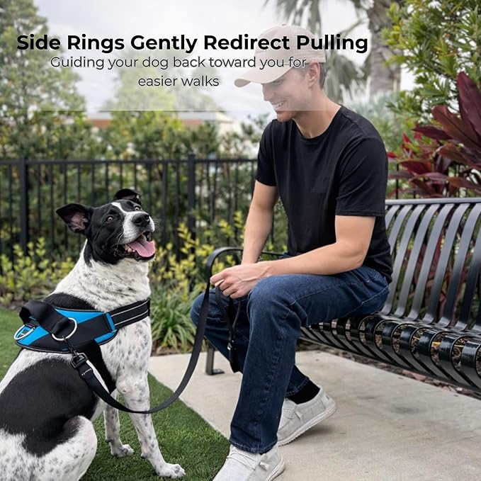 ShawnCo Essential Dog Harness, No-Pull Pet Vest (White Sharks,M) | 3 Leash Clips, Easy On, No-Choke, Reflective, Adjustable Fit, Padded Comfort, Control Handle, For Small, Medium & Large Dogs