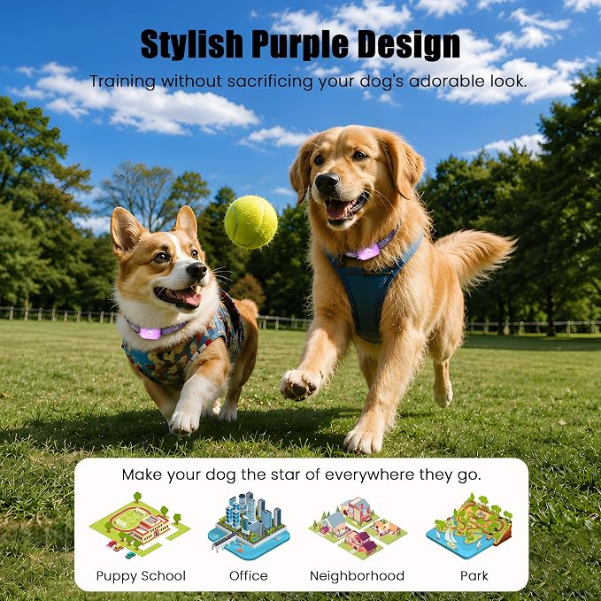 Shock Collar for Dogs 2600FT,Dog Training Collar with Remote Purple