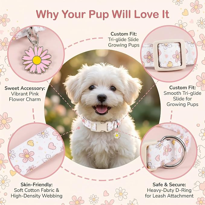 Dog Collar, Floral Dog Collar with Flower Daisy Pattern, Spring Summer Design for Small Medium Dogs, M