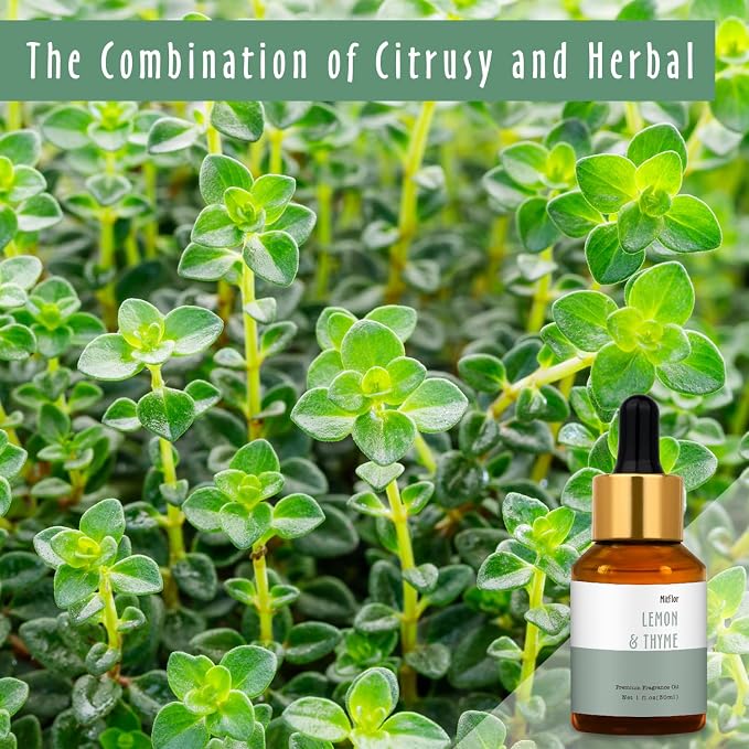 Lemon & Thyme Fragrance Oil, MitFlor Single Scented Oil, Large Size Premium Grade Fragrance Oil for Soap & Candle Making, Hotel Collection Diffuser Oil, Citrusy & Herbal Scent for Home Fragrance, 30ml