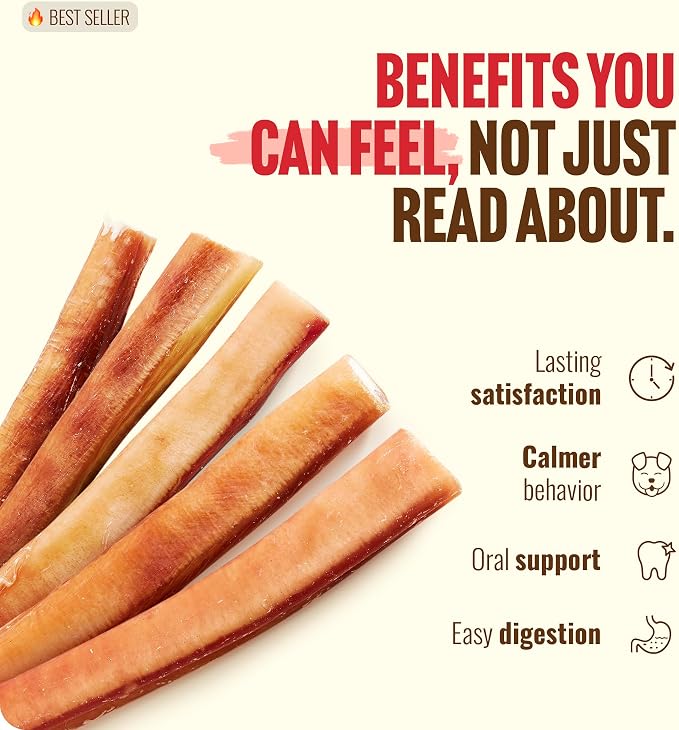 Natural Farm Extra-Thick 12-Inch Beef Bully Sticks Dog Chews (30-Pack) - Odor-Free Dental Treats for Dogs