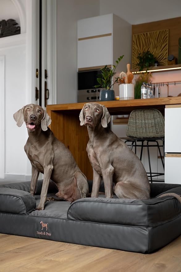 NOAH & PAW Giant Dog Bed XXL, 55x45x11 Inch, Orthopedic Dog Beds, Eggshell Memory Foam Infused with Cooling Gel, Inner Cover, Water Resistant, Machine Washable (Faux Leather)