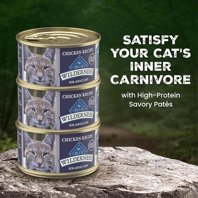 Blue Buffalo Wilderness Chicken Adult 7+ Wet Cat Food Paté, 5.5 oz, 24 ct | Real Chicken #1 Ingredient, High Protein & Grain-Free Recipe, Supports an Active Lifestyle