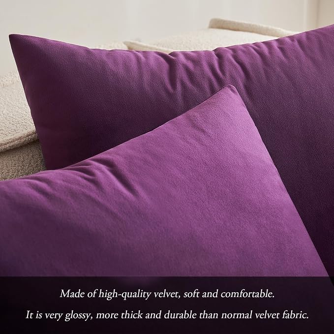 MIULEE 12x20 Inch Lumbar Velvet Throw Pillow Cover Set of 1 Eggplant Purple | Soft Luxury Decorative Throw Pillow Cover, Single Rectangle Cushion Case, Home Decor for Chair Couch Sofa Bedroom Car Bed