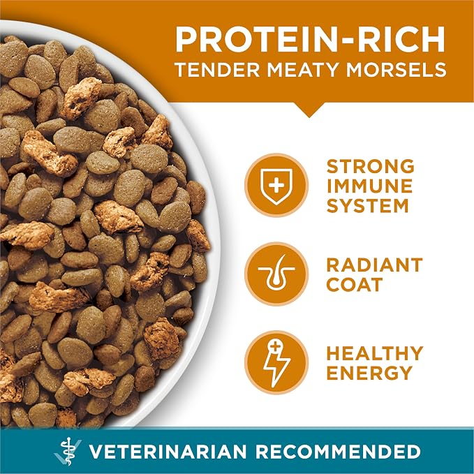 Purina ONE Natural Dry Cat Food, Tender Selects Blend With Real Chicken - (Pack of 4) 3.5 lb. Bags