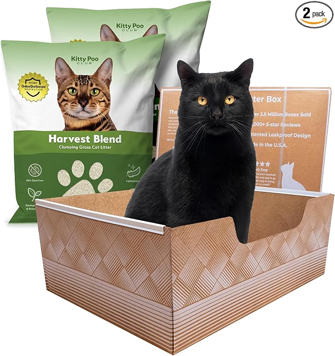 Kitty Poo Club Disposable Cat Litter Box 2-Pack with Grass Litter | Two 8 lb Bags, Fast-Clumping Plant Fibers, Soft Texture, Low Tracking, and Leak-Proof Setup for Travel or Multiple Cats