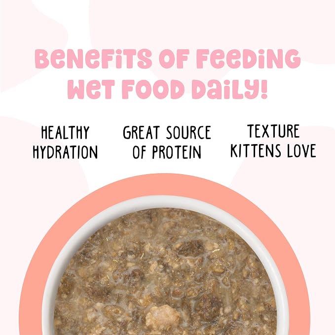 Weruva B.F.F. Kitten Food, Cuddle Buds with Chicken & Salmon in Gravy, 2.8oz Can (Pack of 12)