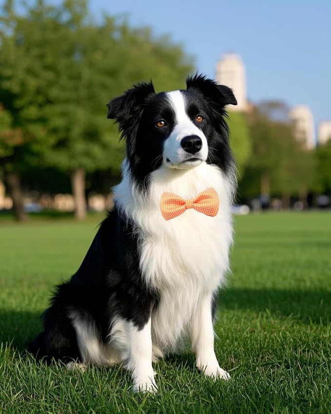 PET SHOW 8 Pack Dot Dog Bowties for Large Dogs Slide on Collar