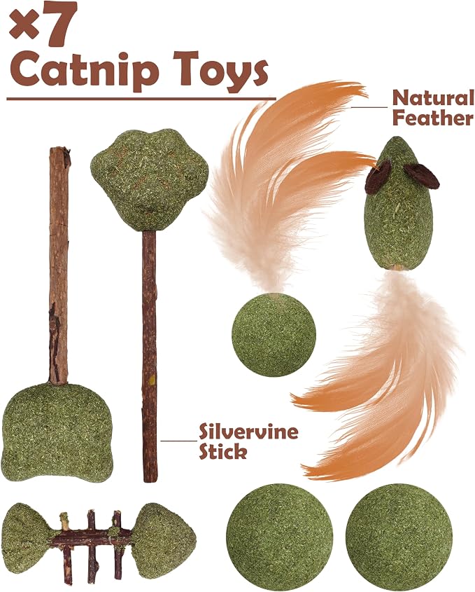 PET SHOW 12 Pack Catnip Toys for Indoor Cats Kitten Crinkle Balls