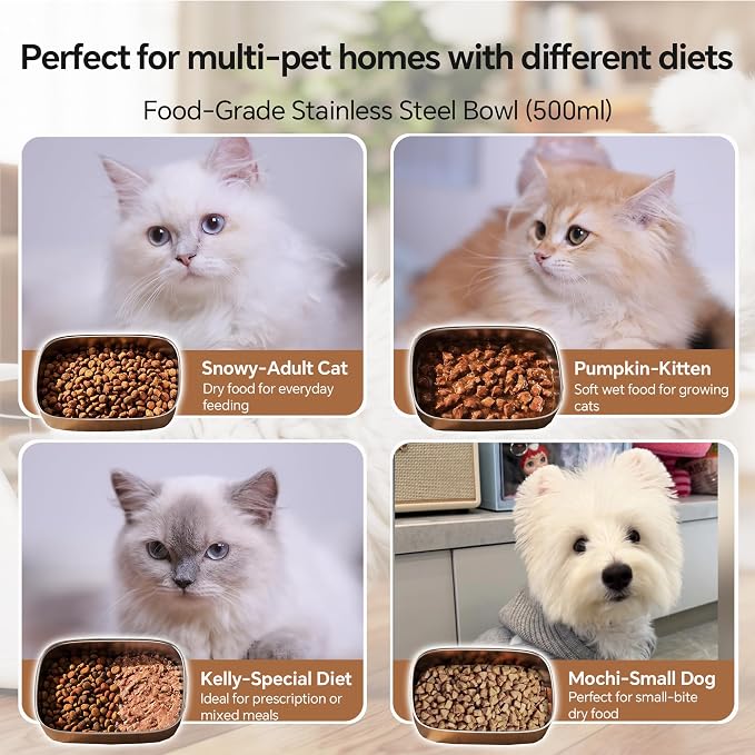 Microchip Pet Feeder - Rechargeable Selective-Automatic Cat Feeder with RFID & Microchip Recognition - Stainless Steel Bowl - Prevents Food Stealing in Multi-Cat Homes - for Wet and Dry Food