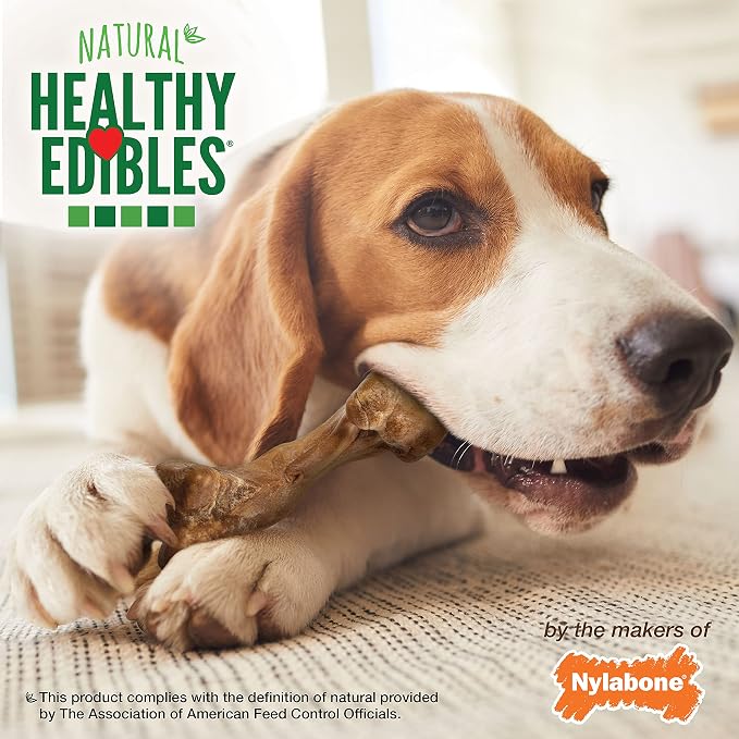Nylabone Healthy Edibles Wild Dog Treats, Bison Flavor, Medium, 2 Count | Natural dog chew bones, made in USA, highly digestible dog chews, long lasting chews for medium dogs up to 35 lbs