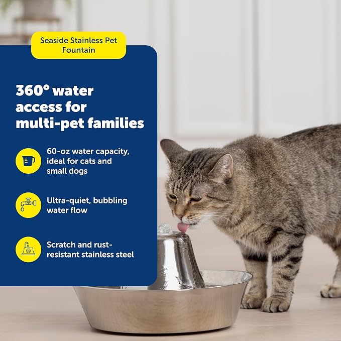 PetSafe Seaside Stainless Cat & Dog Fountain, 60 oz, 2 Filters & Pump | 60 Oz Capacity, 360-Degree Flow, Triple-Filter with 2.5x More Activated Carbon, Scratch/Rust-Resistant Stainless Steel