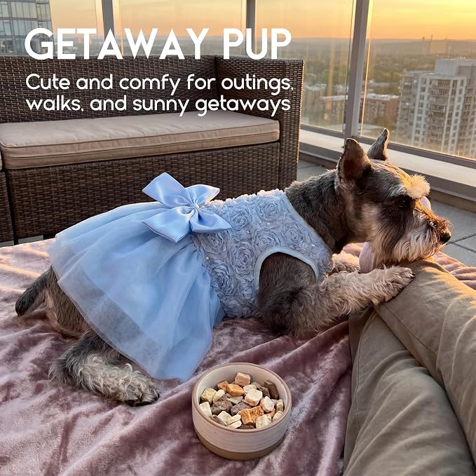 ASENKU Dog Dress Pet Wedding Dress Puppy Birthday Party Outfit, Blue L | Dog Flower Girl Dress With Leash Hole, Princess Puppy Dress For Weddings, Daily Wear, Fits Small Medium Large Dogs Cats