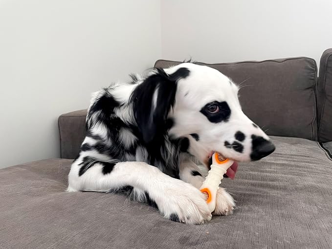 Nylabone Pop-in Treat Toy Chicken Dog Treat Refills, 90 Count | Made with real chicken, fits any Nylabone Pop-In Treat Toy, all-natural dog treats, highly digestible, limited ingredients
