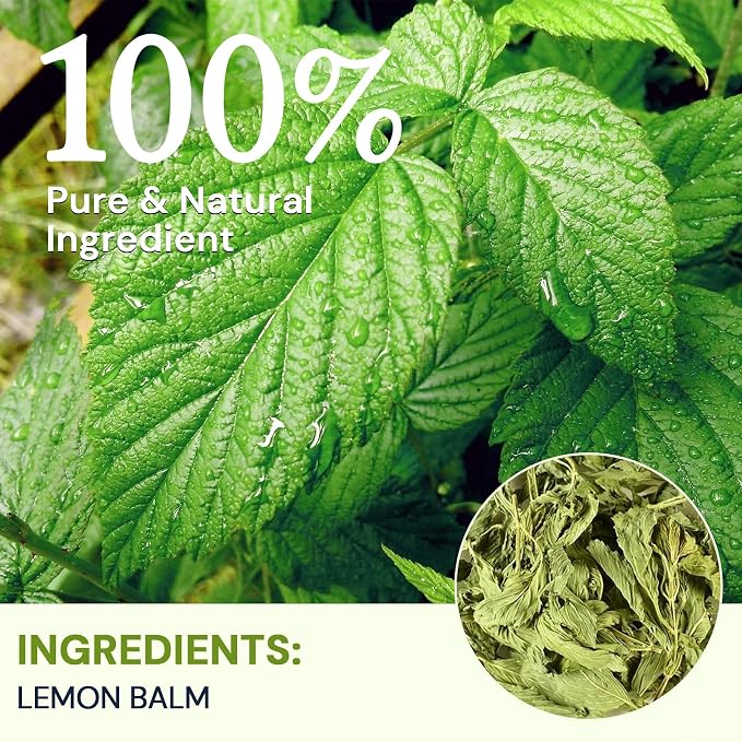 Lemon Balm Tea Bags, Pure & Natural Melissa Officinalis Herbal Tea, Premium Dried Lemon Balm Leaf with Naturally Lemony & Citrusy Flavor, Caffeine-Free, Non-GMO, 20 Count