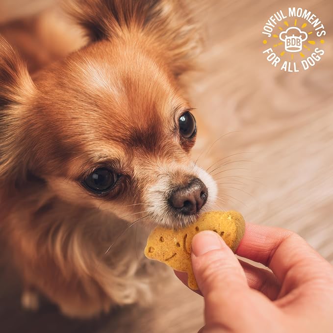 Blue Dog Bakery, More Crunch Chicken Biscuit, Large Dog Treats 5lb Box | Crunchy Oven-Baked Dog Treat Biscuits, Chicken Flavor, Made with Real Premium Wholesome Ingredients in the USA