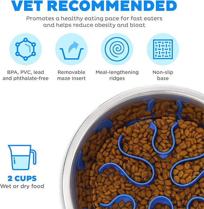 Outward Hound Fun Feeder Stainless Steel Slo Bowl for Dogs, Medium, 8.3"