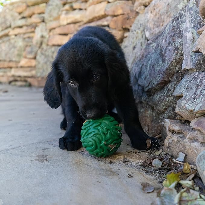 PetKORE Luna Ball - 4" Large, Green, Dog & Puppy Toy, Flexible Rubber, Teething & Chewing, Tactile Surface, Bounce & Fetch, Pet Indoor-Outdoor Play