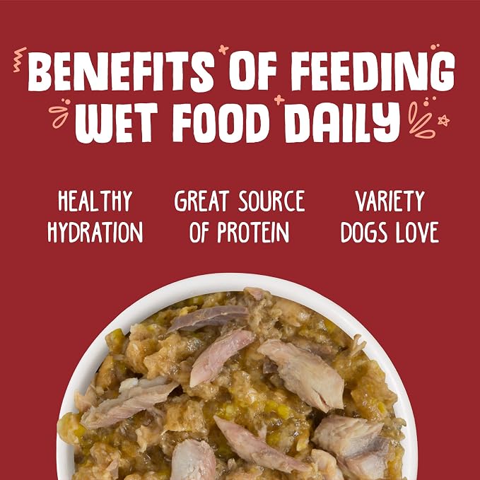Weruva Classic Dog Food, Marbella Paella with Mackerel & Pumpkin in Aspic, 14oz Can (Pack of 12)