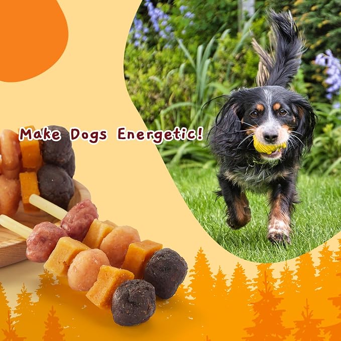 Jungle Calling Kabob Cod Stick for Medium & Large Dogs, Rawhide-Free Chews | High Protein Dog Kabob Treats, Made with Chicken, Duck, Beef, Sweet Potato & Pumpkin, 10.6 oz, Perfect for Special Moments