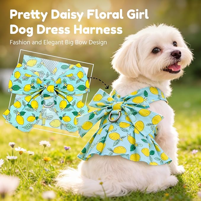 BAEJMJK Dog Dress Bowknot Harness Leash Set for Small Dogs Cats Girl Floral Princess Dog Dresses Cute Puppy Fruit Clothes Pet Doggy Outfits Spring Summer Breathable Dresses(Green,X-Small)